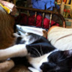 Meet your Posher, Marcus